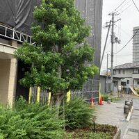 画像7889：★中古マンション★レノヴァシオン嵯峨野（リフォーム済）